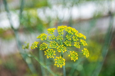 Similar image 22164035