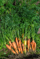 Similar image 22156448