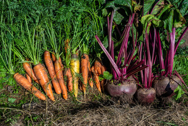 Similar image 22164039