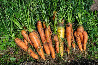 Similar image 22156449