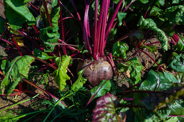 Similar image 22164040