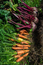 Similar image 22164041