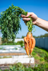 Similar image 22156450