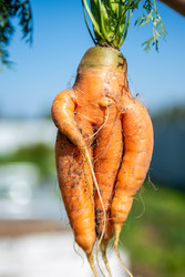 Similar image 22156451