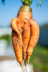 Similar image 22156452