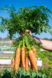 Similar image 22156453