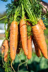 Similar image 22156454