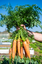 Similar image 22156455