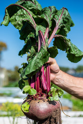 Similar image 22164044