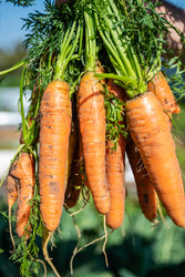 Similar image 22156456