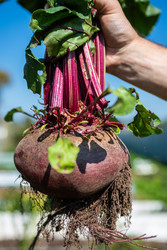 Similar image 22164045