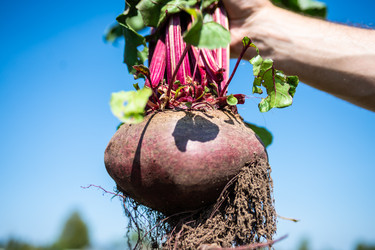 Similar image 22164046