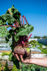 Similar image 22164047