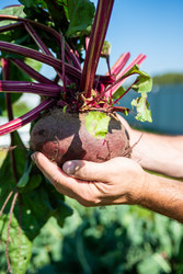 Similar image 22164048