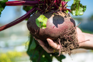 Similar image 22164049