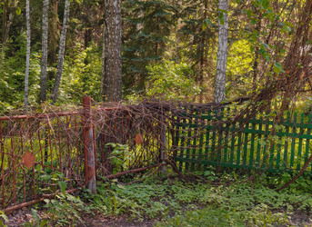 Similar image 22156459