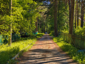 Similar image 22156461