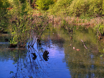 Similar image 22156465