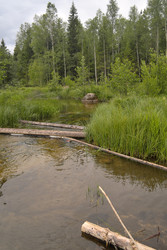 Similar image 22157093