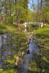 Similar image 22157096