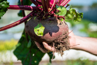 Similar image 22164051