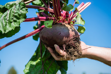 Similar image 22164053