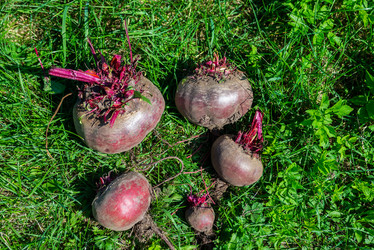 Similar image 22164055