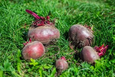 Similar image 22164056