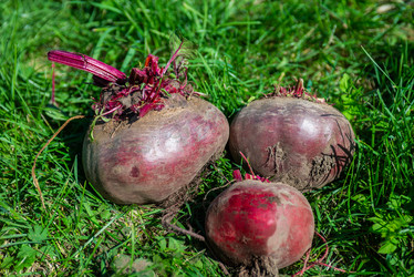 Similar image 22164057