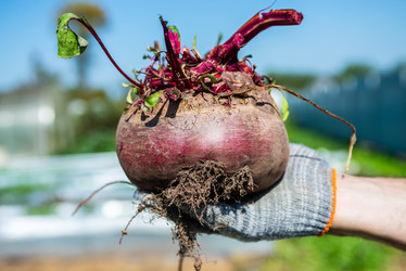 Similar image 22164058