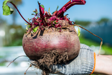 Similar image 22164060