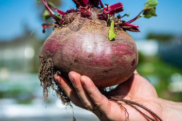 Similar image 22164061