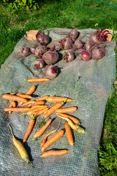 Similar image 22164062