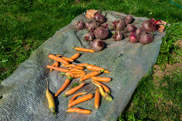 Similar image 22164063