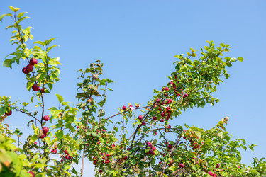 Similar image 22164066