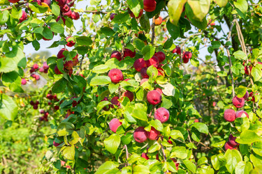 Similar image 22164067