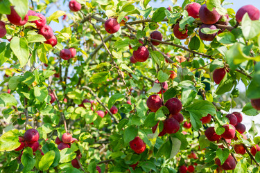 Similar image 22164068