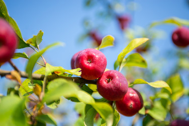 Similar image 22164069