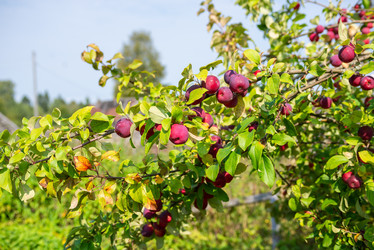 Similar image 22164070