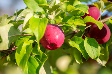 Similar image 22164072