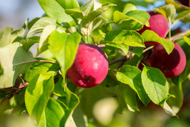 Similar image 22164073