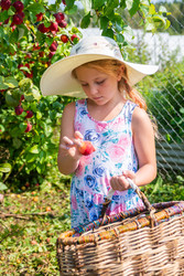 Similar image 22156467