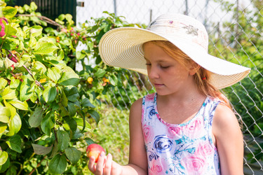 Similar image 22156468