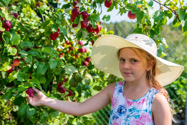 Similar image 22156469