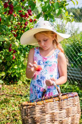 Similar image 22156470