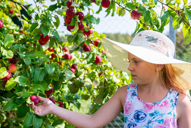 Similar image 22156471