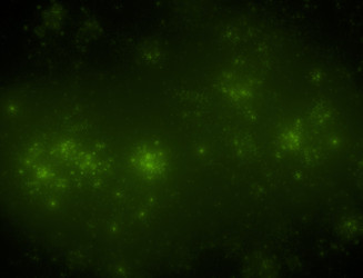 Similar image 22161074