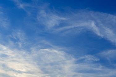 Similar image 22156486