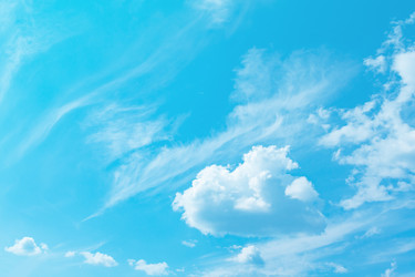 Similar image 22156500