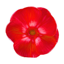 Similar image 22156502